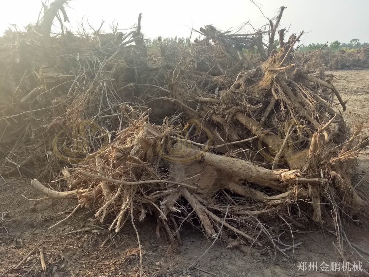 郑州金鹏树桩破碎机在生物质燃料预粉碎处理中的选型与现场应用