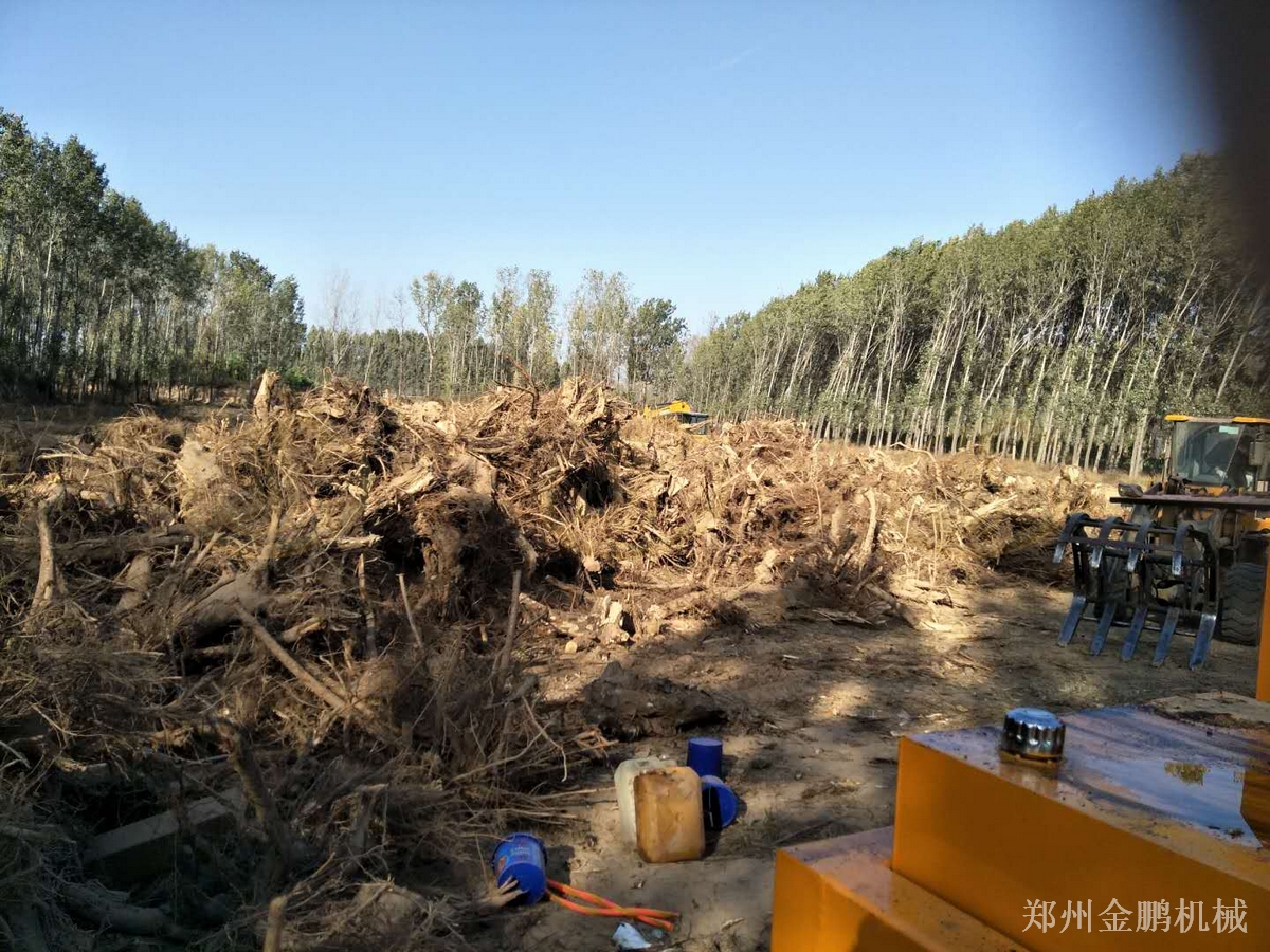 郑州金鹏大型木材粉碎机设备在生物质料场高产量处理中的应用