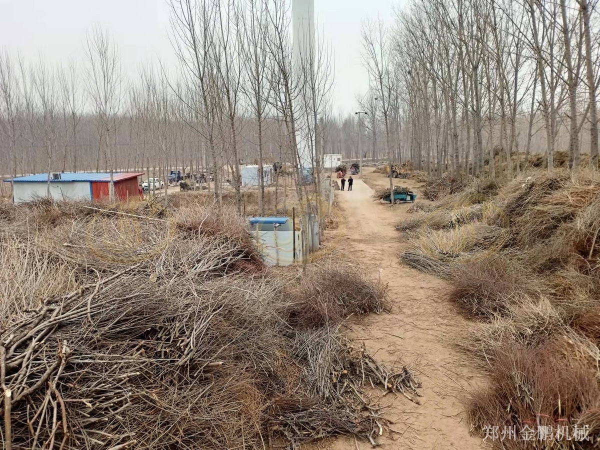 郑州金鹏木料粉碎机设备在生物质燃料预处理中的配置